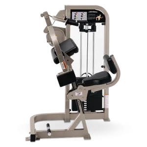 Life Fitness Pro 2 Triceps Extension